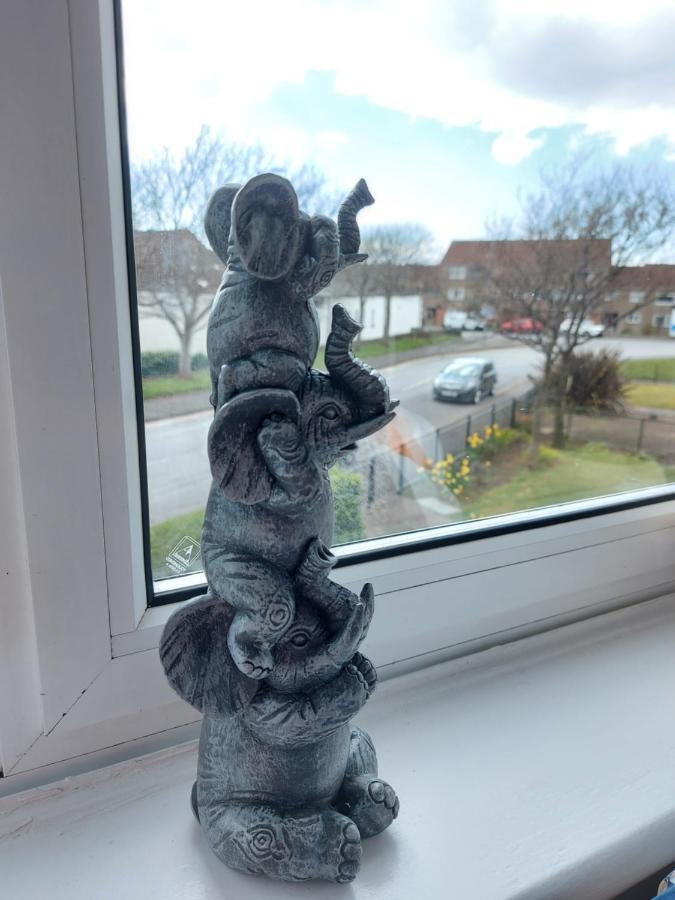 Teddy Bears' 3-Bedroom Maisonette Saltcoats Kültér fotó